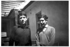zilnikkelujvidek1957